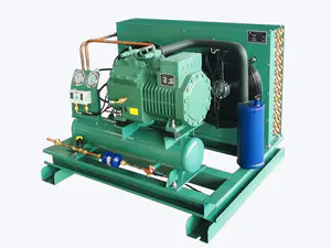 Semi-Hermetic Air-Cooled Condensing Unit for Reliable Commercial Refrigeration